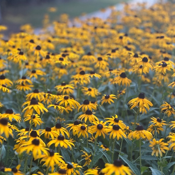 Meet your Posher, Kristin - Picture 1 of 1